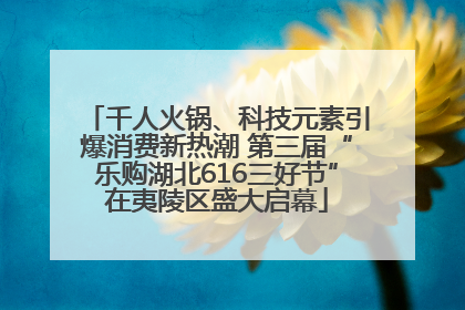 千人火锅、科技元素引爆消费新热潮 第三届“乐购湖北616三好节”在夷陵区盛大启幕